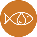 FishOils_Omegas