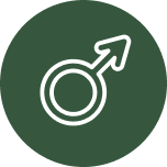 Men's Formulas